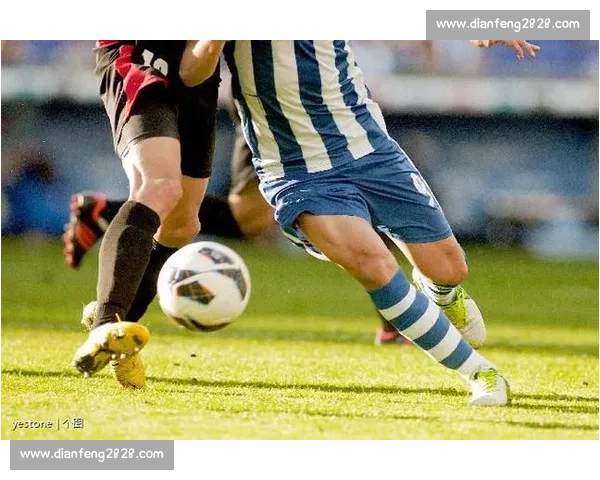 回望2008赛季五大联赛新星崛起与足坛未来图景传奇启航时代